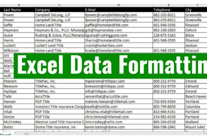 reliable virtual assistance for data entry, web scraping, and PDF to excel